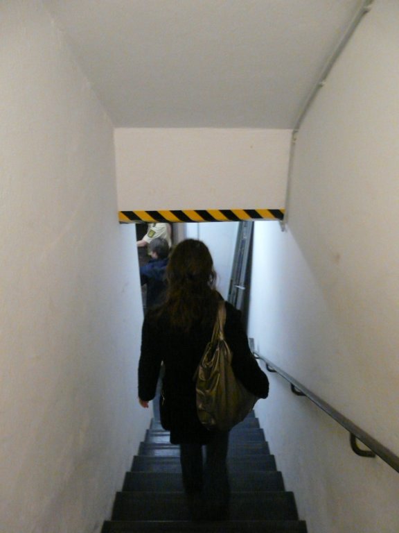 p1140393.jpg