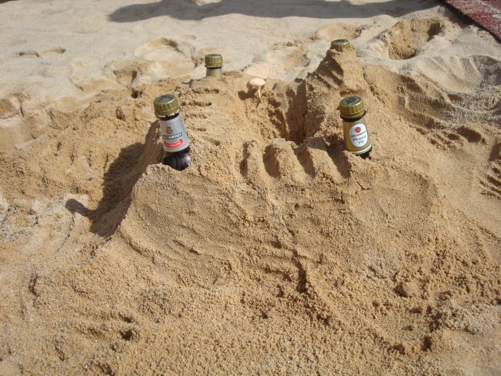 dsc03477.jpg