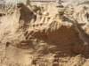 dsc03479_small.jpg