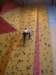 dsc03495_small.jpg